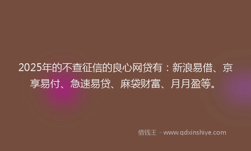 2025年的不查征信的良心网贷有：新浪易借、京享易付、急速易贷、麻袋财富、月月盈等。