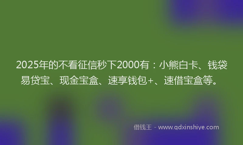 2025年的不看征信秒下2000有：小熊白卡、钱袋易贷宝、现金宝盒、速享钱包+、速借宝盒等。