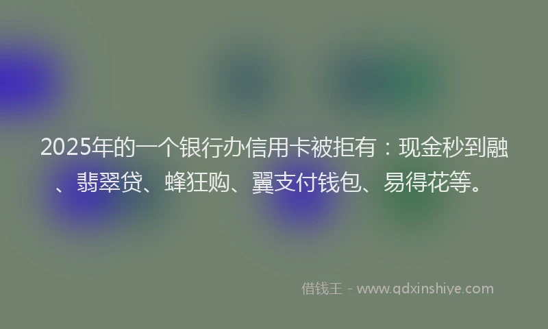2025年的一个银行办信用卡被拒有：现金秒到融、翡翠贷、蜂狂购、翼支付钱包、易得花等。