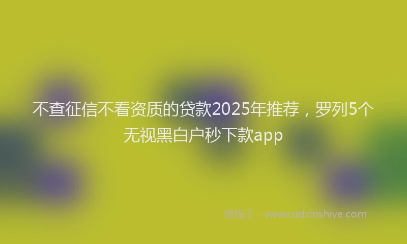 不查征信不看资质的贷款2025年推荐，罗列5个无视黑白户秒下款app