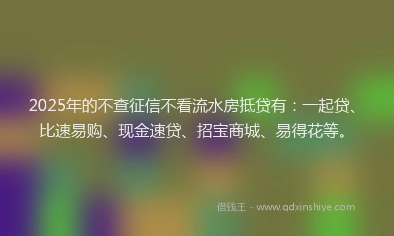 2025年的不查征信不看流水房抵贷有：一起贷、比速易购、现金速贷、招宝商城、易得花等。