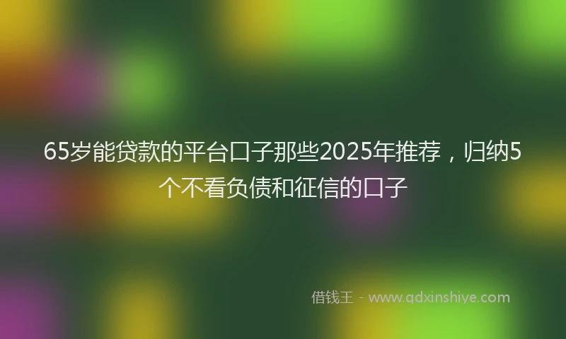 65岁能贷款的平台口子那些2025年推荐，归纳5个不看负债和征信的口子