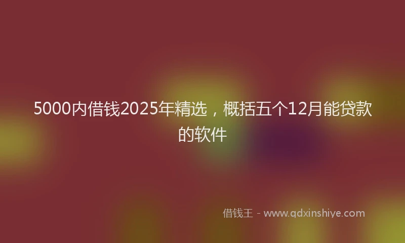 5000内借钱2025年精选，概括五个12月能贷款的软件