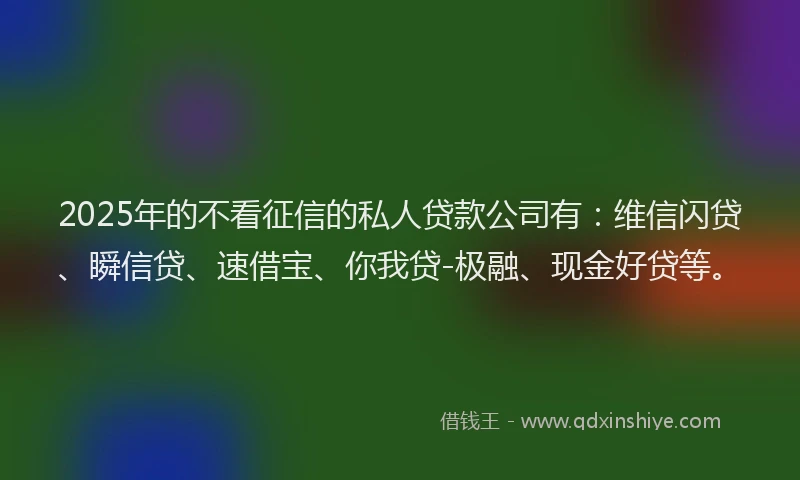 2025年的不看征信的私人贷款公司有：维信闪贷、瞬信贷、速借宝、你我贷-极融、现金好贷等。