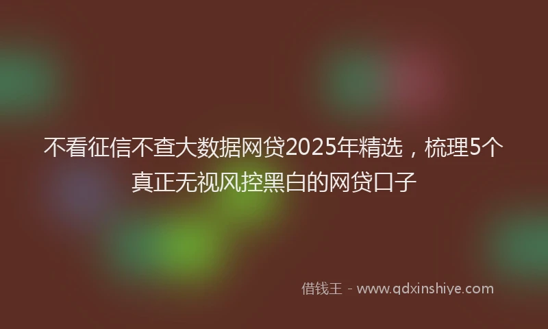 不看征信不查大数据网贷2025年精选，梳理5个真正无视风控黑白的网贷口子