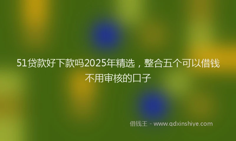 51贷款好下款吗2025年精选，整合五个可以借钱不用审核的口子