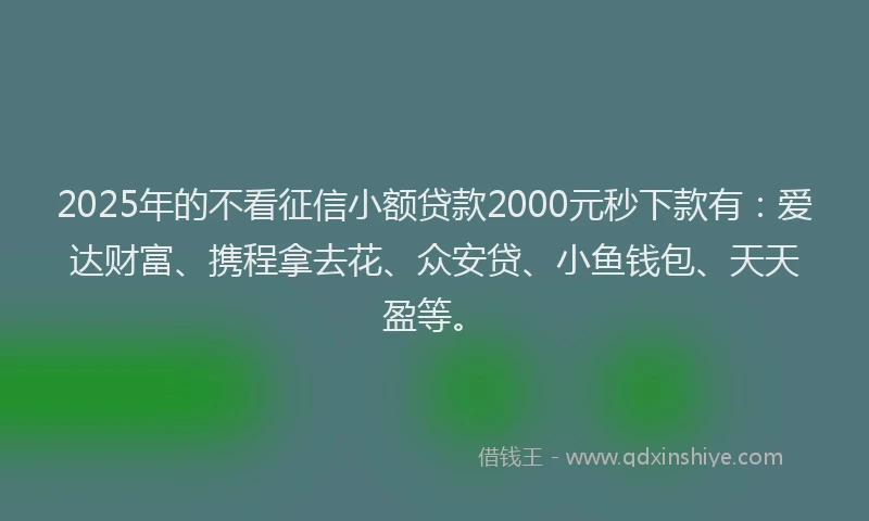 2025年的不看征信小额贷款2000元秒下款有：爱达财富、携程拿去花、众安贷、小鱼钱包、天天盈等。