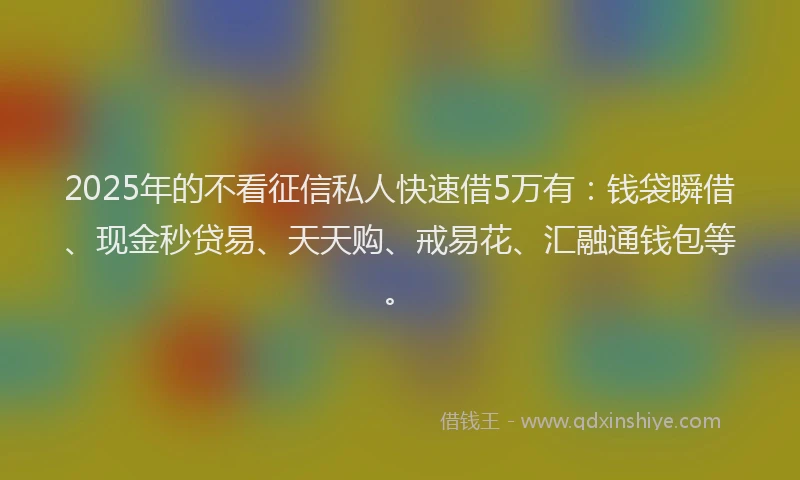 2025年的不看征信私人快速借5万有：钱袋瞬借、现金秒贷易、天天购、戒易花、汇融通钱包等。