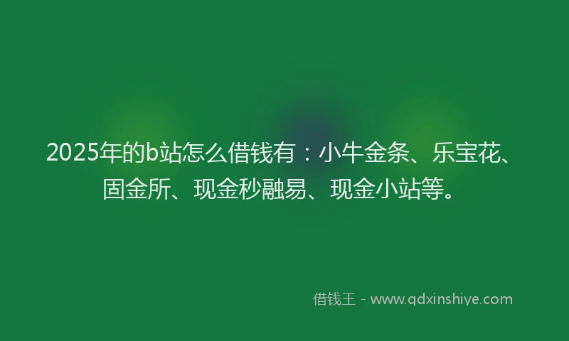 2025年的b站怎么借钱有：小牛金条、乐宝花、固金所、现金秒融易、现金小站等。