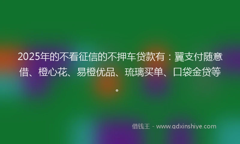 2025年的不看征信的不押车贷款有：翼支付随意借、橙心花、易橙优品、琉璃买单、口袋金贷等。