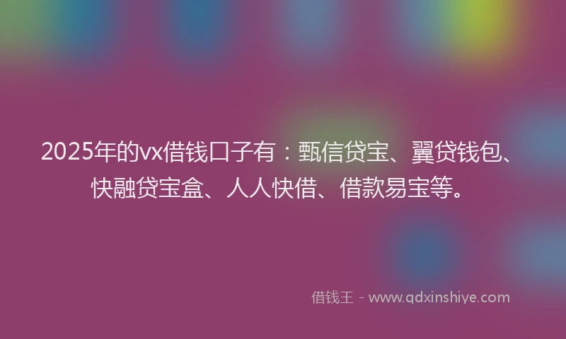 2025年的vx借钱口子有：甄信贷宝、翼贷钱包、快融贷宝盒、人人快借、借款易宝等。