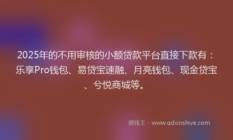 2025年的不用审核的小额贷款平台直接下款有：乐享Pro钱包、易贷宝速融、月亮钱包、现金贷宝、兮悦商城等。