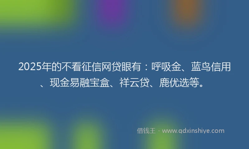 2025年的不看征信网贷眼有：呼吸金、蓝鸟信用、现金易融宝盒、祥云贷、鹿优选等。