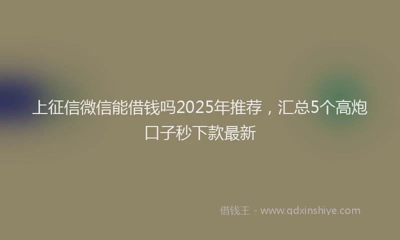 上征信微信能借钱吗2025年推荐，汇总5个高炮口子秒下款最新