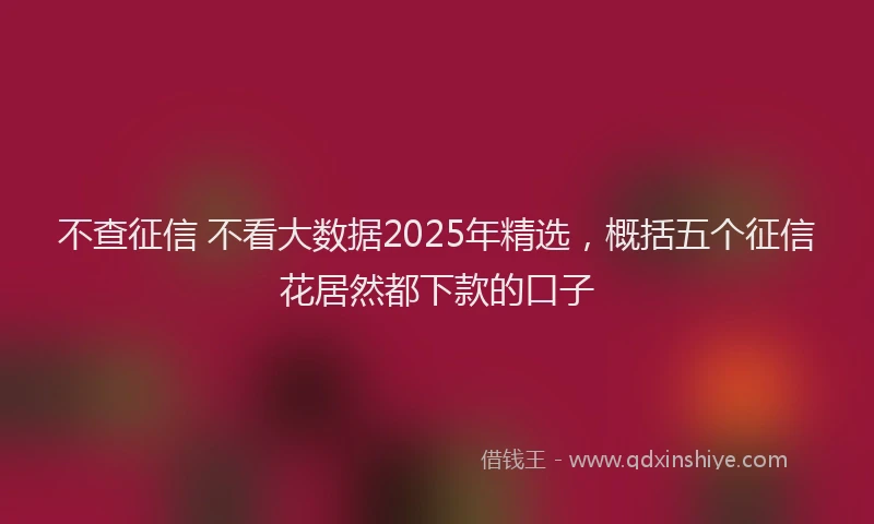 不查征信 不看大数据2025年精选，概括五个征信花居然都下款的口子