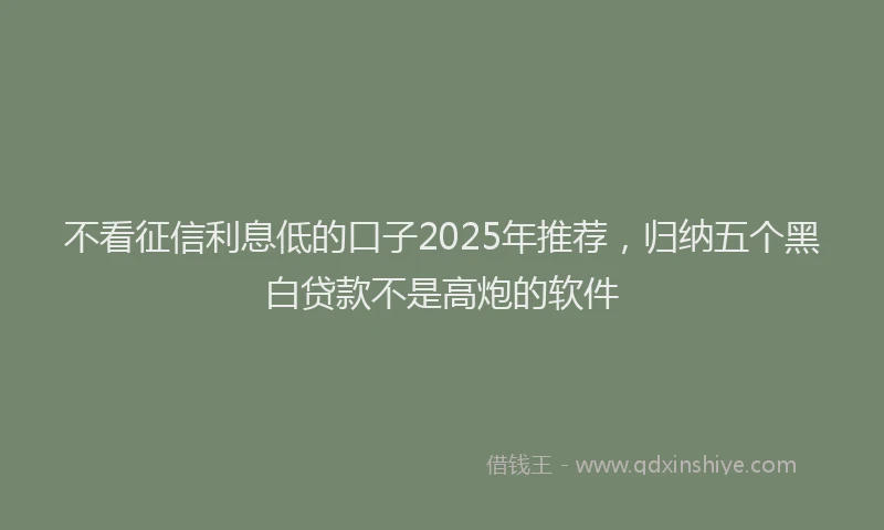 不看征信利息低的口子2025年推荐，归纳五个黑白贷款不是高炮的软件