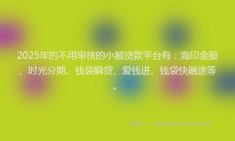2025年的不用审核的小额贷款平台有：海印金服、时光分期、钱袋瞬贷、爱钱进、钱袋快融途等。