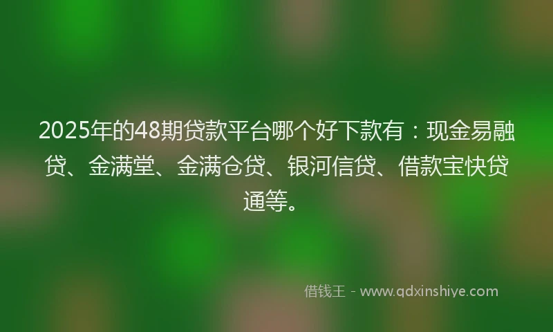 2025年的48期贷款平台哪个好下款有：现金易融贷、金满堂、金满仓贷、银河信贷、借款宝快贷通等。