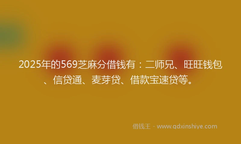 2025年的569芝麻分借钱有：二师兄、旺旺钱包、信贷通、麦芽贷、借款宝速贷等。