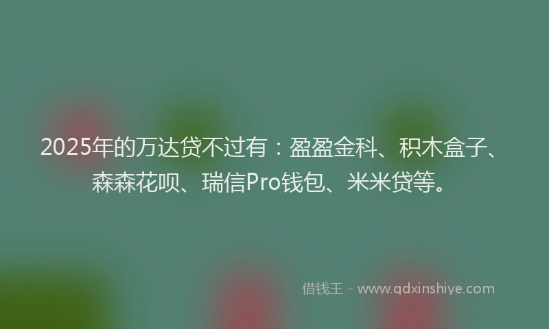 2025年的万达贷不过有：盈盈金科、积木盒子、森森花呗、瑞信Pro钱包、米米贷等。