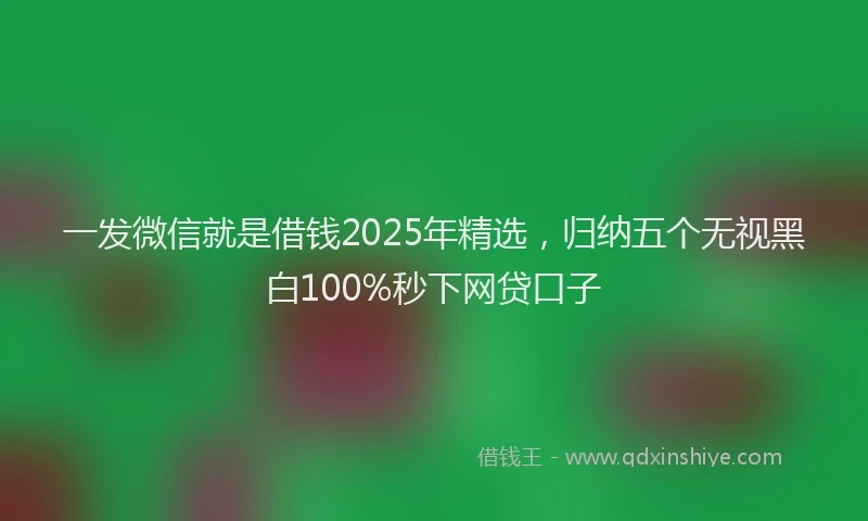 一发微信就是借钱2025年精选，归纳五个无视黑白100%秒下网贷口子