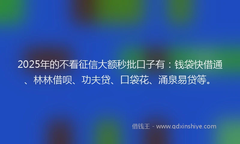 2025年的不看征信大额秒批口子有：钱袋快借通、林林借呗、功夫贷、口袋花、涌泉易贷等。