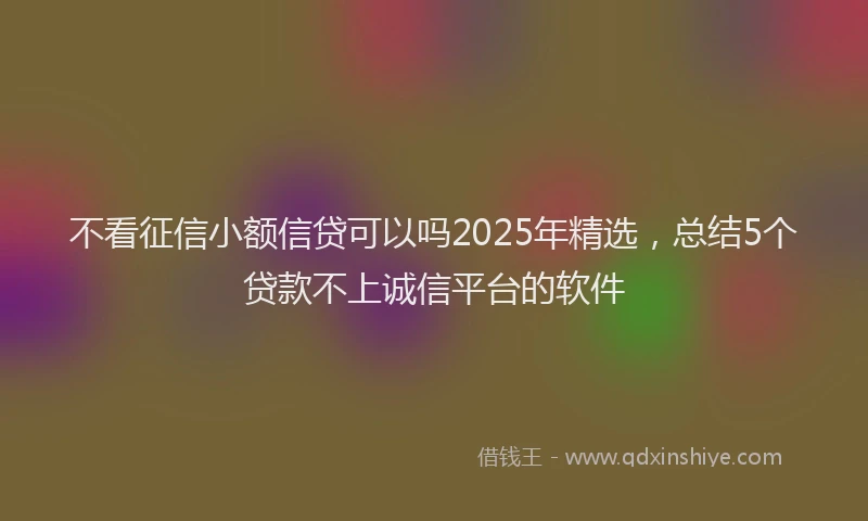 不看征信小额信贷可以吗2025年精选，总结5个贷款不上诚信平台的软件