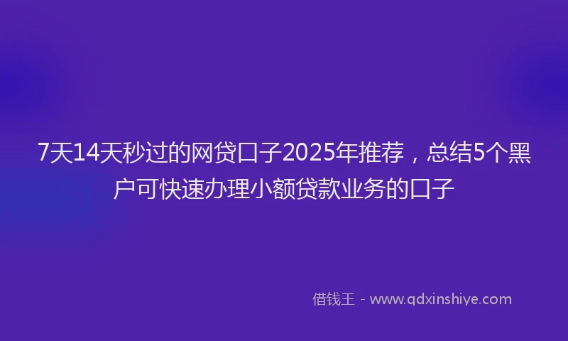7天14天秒过的网贷口子2025年推荐，总结5个黑户可快速办理小额贷款业务的口子