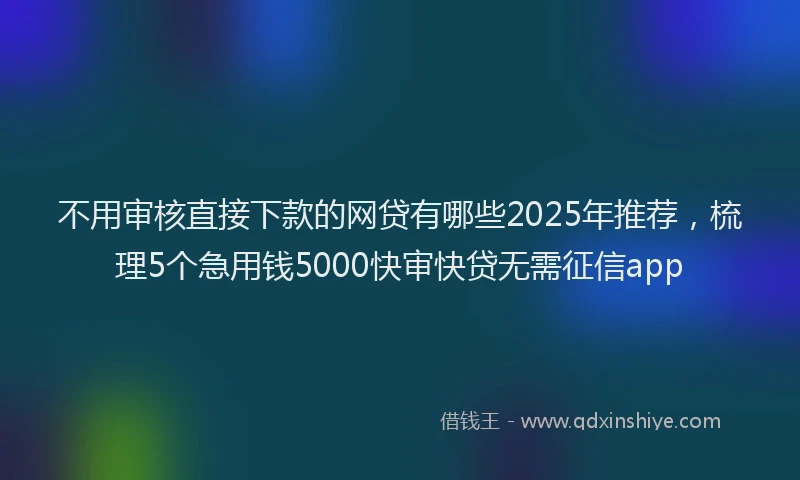 不用审核直接下款的网贷有哪些2025年推荐，梳理5个急用钱5000快审快贷无需征信app