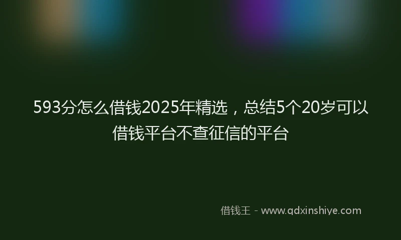 593分怎么借钱2025年精选，总结5个20岁可以借钱平台不查征信的平台