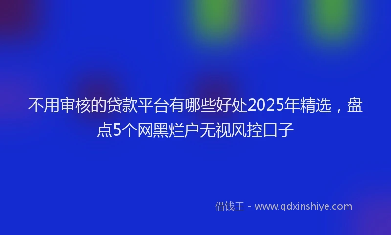不用审核的贷款平台有哪些好处2025年精选，盘点5个网黑烂户无视风控口子