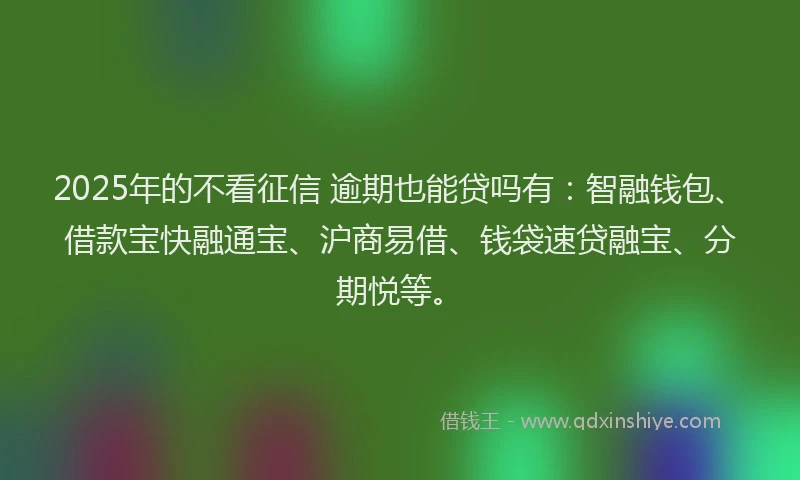 2025年的不看征信 逾期也能贷吗有：智融钱包、借款宝快融通宝、沪商易借、钱袋速贷融宝、分期悦等。