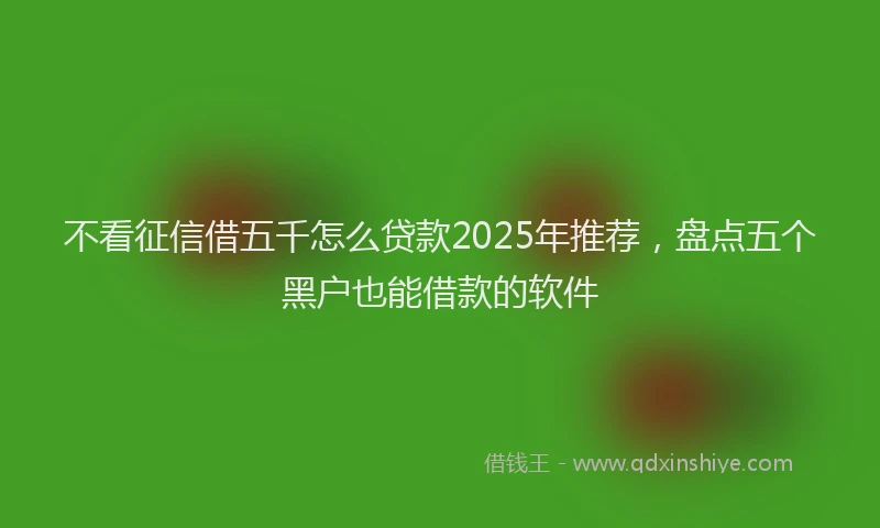 不看征信借五千怎么贷款2025年推荐，盘点五个黑户也能借款的软件