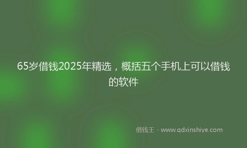65岁借钱2025年精选，概括五个手机上可以借钱的软件