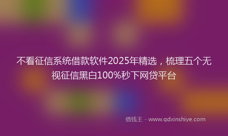 不看征信系统借款软件2025年精选，梳理五个无视征信黑白100%秒下网贷平台