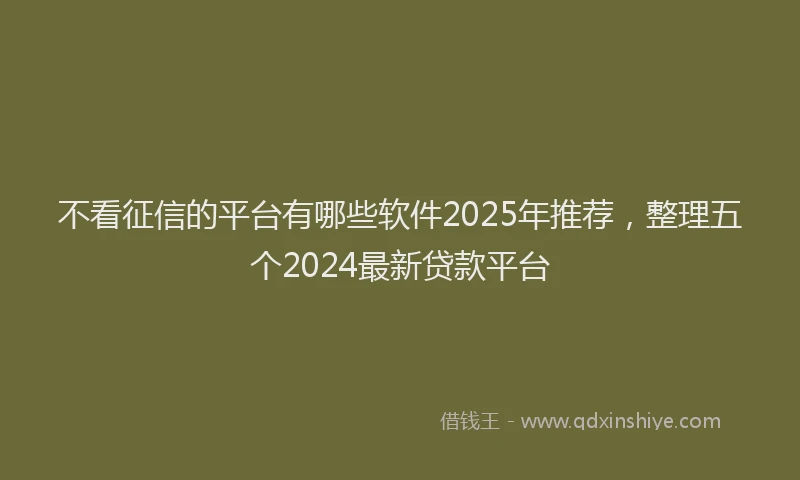 不看征信的平台有哪些软件2025年推荐，整理五个2024最新贷款平台