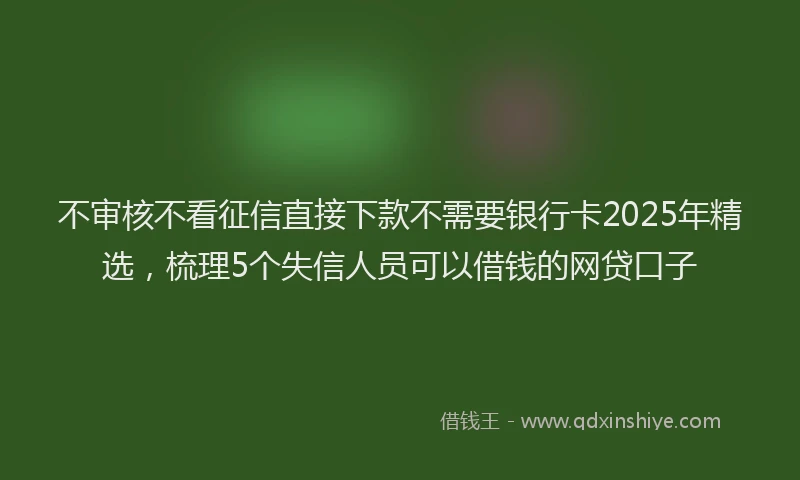 不审核不看征信直接下款不需要银行卡2025年精选，梳理5个失信人员可以借钱的网贷口子