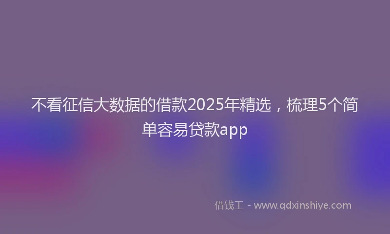 不看征信大数据的借款2025年精选，梳理5个简单容易贷款app