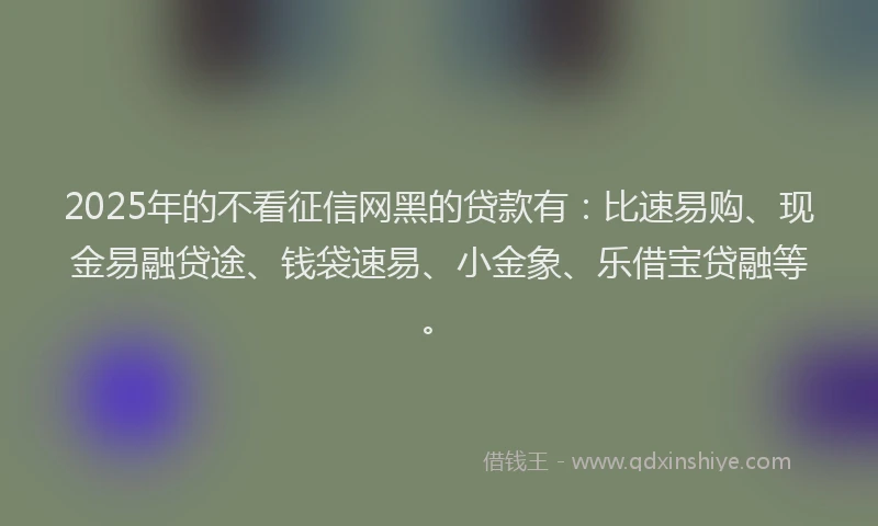 2025年的不看征信网黑的贷款有：比速易购、现金易融贷途、钱袋速易、小金象、乐借宝贷融等。