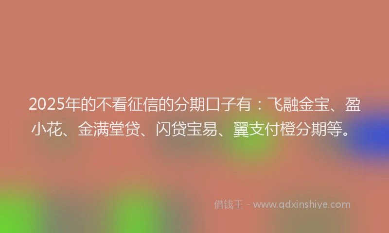 2025年的不看征信的分期口子有：飞融金宝、盈小花、金满堂贷、闪贷宝易、翼支付橙分期等。
