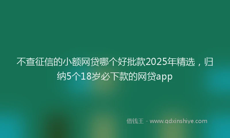 不查征信的小额网贷哪个好批款2025年精选，归纳5个18岁必下款的网贷app