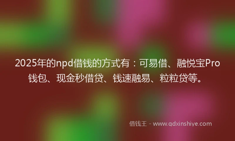 2025年的npd借钱的方式有：可易借、融悦宝Pro钱包、现金秒借贷、钱速融易、粒粒贷等。
