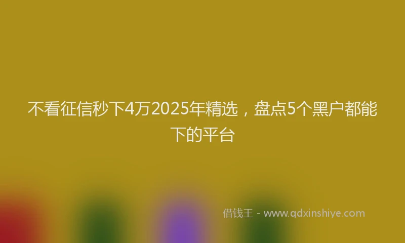 不看征信秒下4万2025年精选，盘点5个黑户都能下的平台