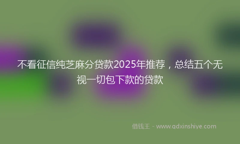 不看征信纯芝麻分贷款2025年推荐，总结五个无视一切包下款的贷款