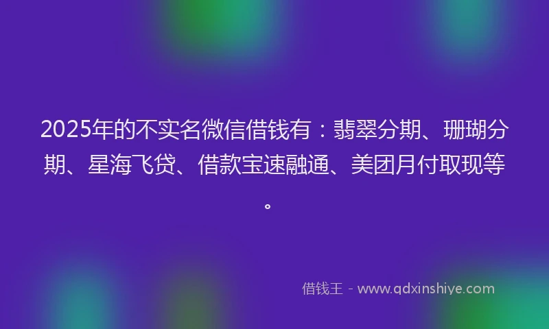 2025年的不实名微信借钱有：翡翠分期、珊瑚分期、星海飞贷、借款宝速融通、美团月付取现等。