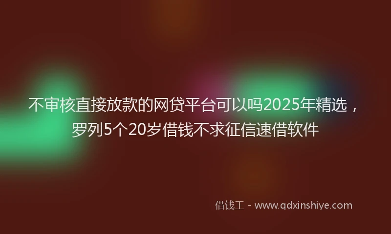 不审核直接放款的网贷平台可以吗2025年精选，罗列5个20岁借钱不求征信速借软件