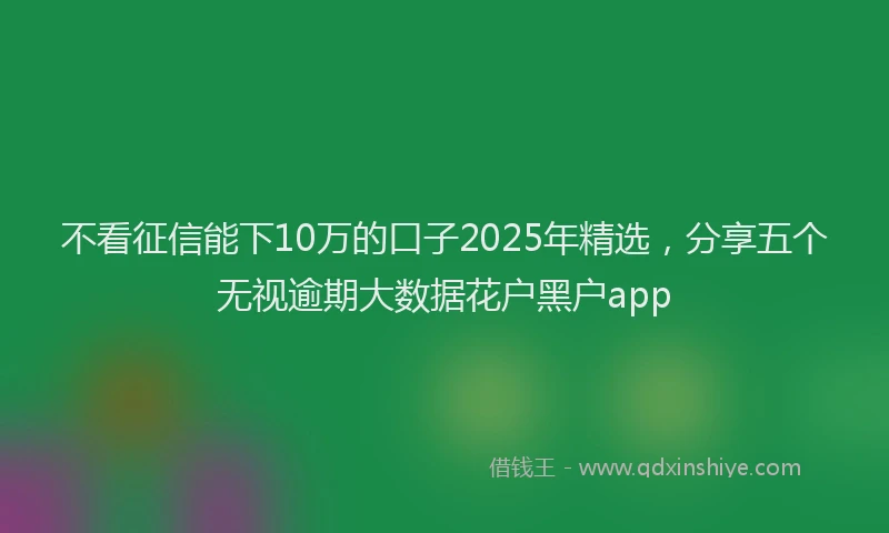 不看征信能下10万的口子2025年精选，分享五个无视逾期大数据花户黑户app