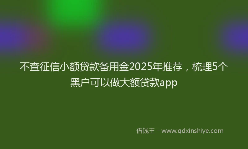 不查征信小额贷款备用金2025年推荐，梳理5个黑户可以做大额贷款app