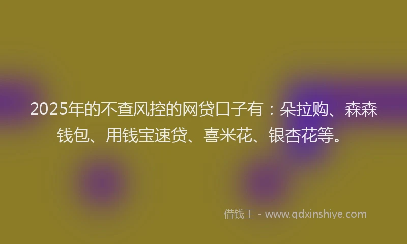 2025年的不查风控的网贷口子有：朵拉购、森森钱包、用钱宝速贷、喜米花、银杏花等。