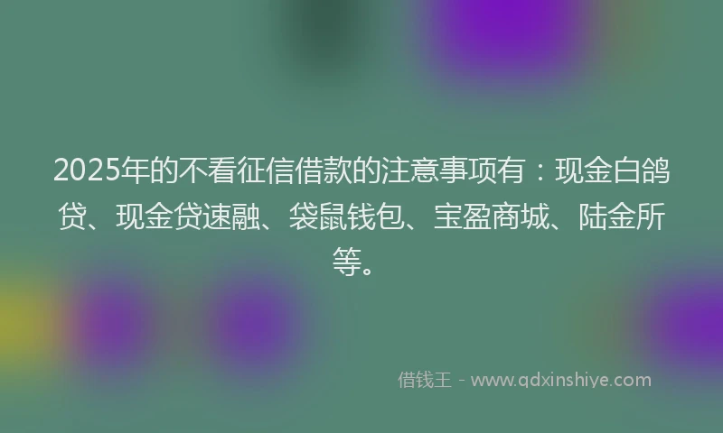 2025年的不看征信借款的注意事项有：现金白鸽贷、现金贷速融、袋鼠钱包、宝盈商城、陆金所等。